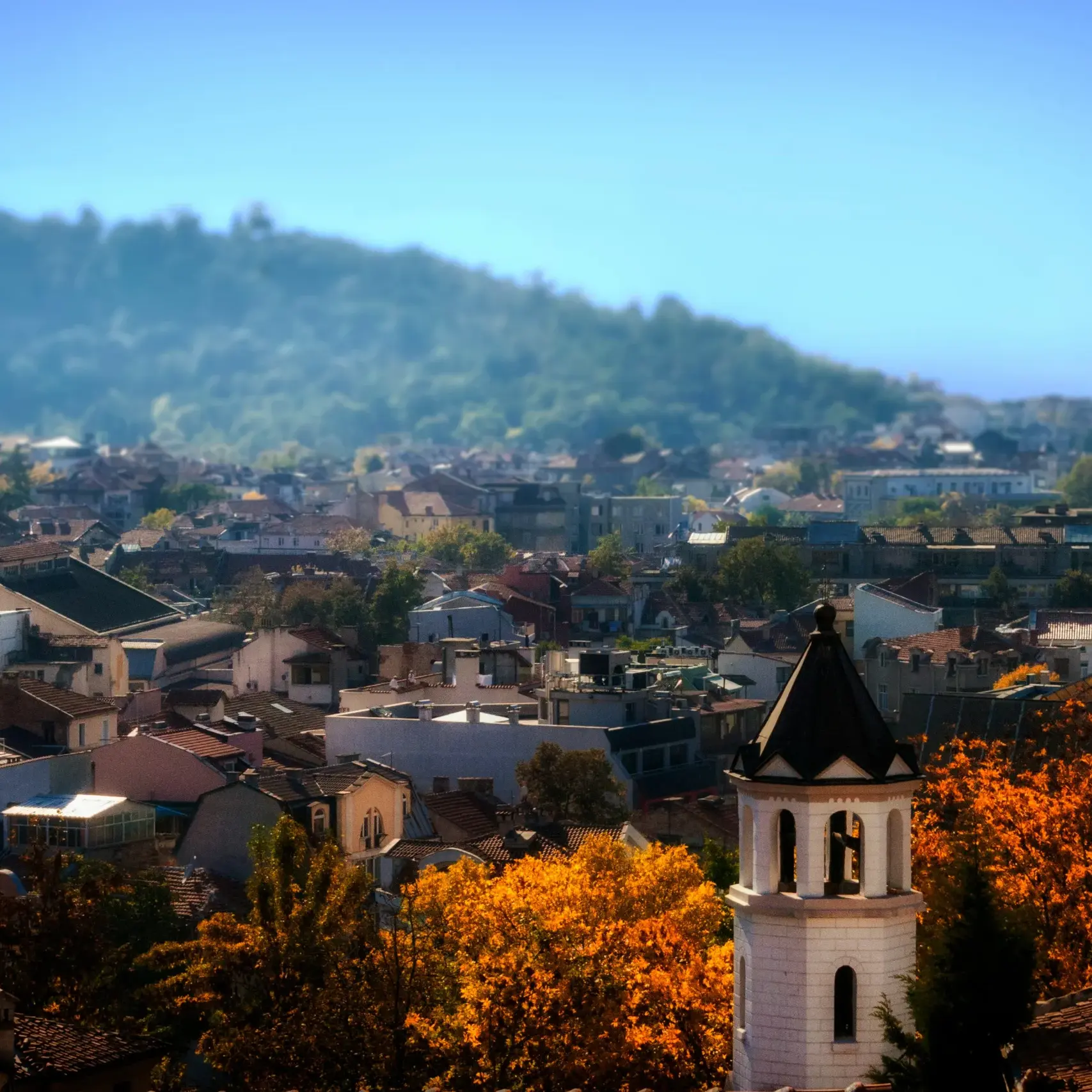 deniz-fuchidzhiev-SbxO-MsVVZE-unsplash